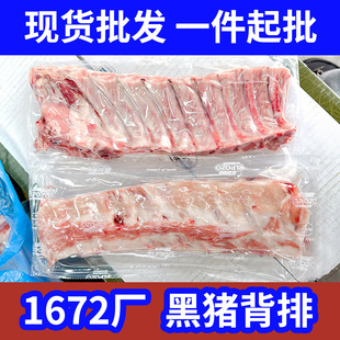 �����������������i����1672������i���� ������ ���i������ľ��