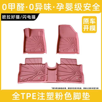 Tpe Ora Good Cat Lightning Cat: Modelə uyğun ayaqaltı - euler-good-cat-remark-year-pink-full-tpe-floor-mats