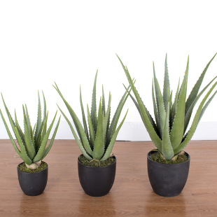 Home Decoration Succulent Plant Pots, Soft High-End Artificial Aloe Bonsai, Artificial Succulent Green Plant Pots