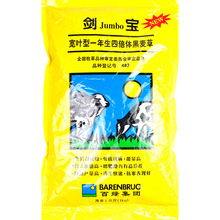 黑麦草种籽子种四季耐寒牧草种子草种鸡鸭鱼草种孑种植南方开花草