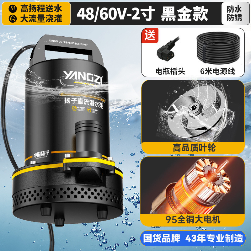 Yangzi bomba sumergible de corriente continua 12V48V72V bomba eléctrica de bombeo de agua de riego agrícola doméstico bomba de agua de alta potencia