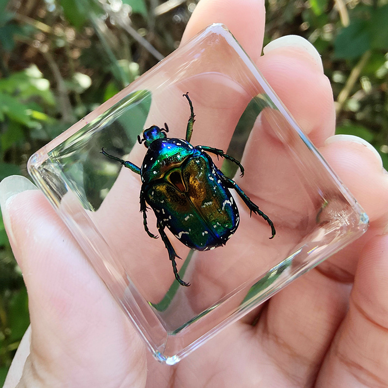 호수 푸른 구리 꽃 황금 거북이