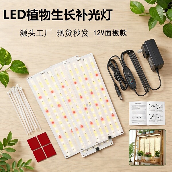 LED quantum lamp