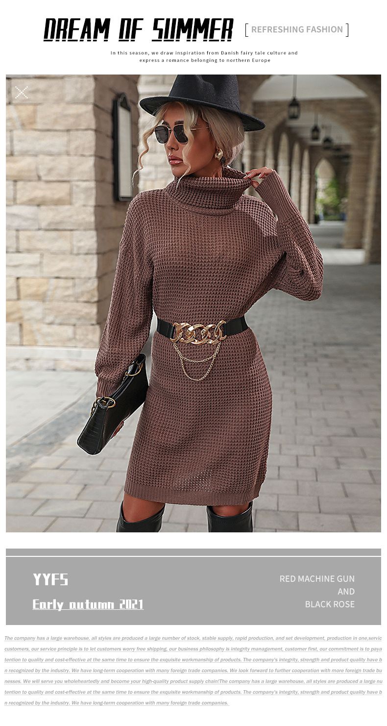 Vêtements à la mode pour femmes, automne et hiver, nouveau col roulé_voghion.com