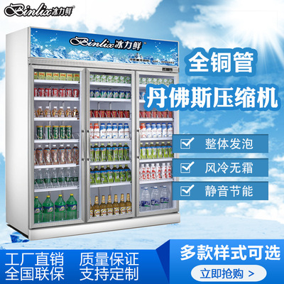 [厂家直销冰力鲜便利店饮料柜 水果保鲜柜 冷藏饮料柜 超市啤酒柜]
