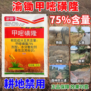 75%���׻�¡���݄���·�F·���ó��ݼ����S¡���׻�Դ�^���S���l