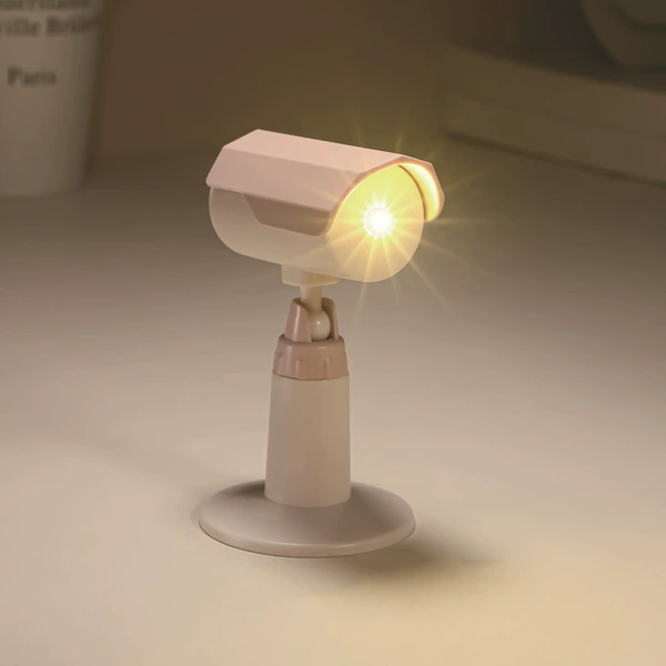 Fuchsia CCTV camera, lantern
