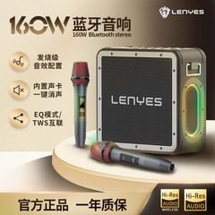 冷野獅 ポータブルカラオケスピーカー 屋外対応 160W Bluetoothサウンドカード マイク付き Bluetoothカラオケ