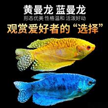 �����~���w��С���~�Ꭷ�^�p�~��ˮ�~���֌����ͻ��{�S��Ե����x