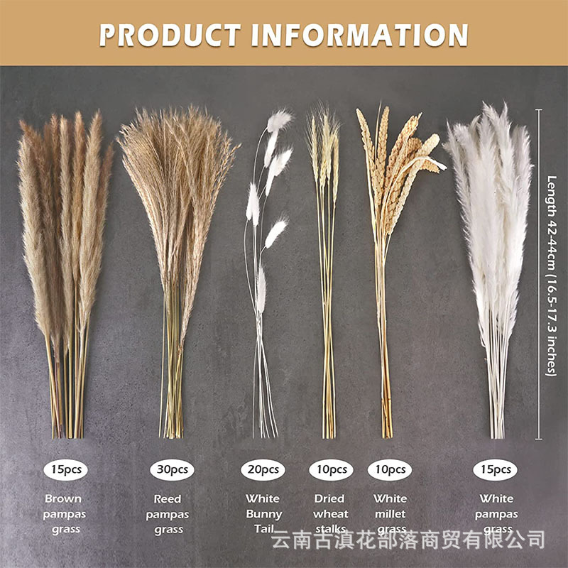 100 (박스 포장 포함)