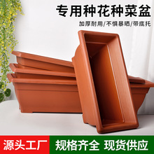 �Ӻ������˷N�������ϷNֲ���̨��ͥ�ش��L�����L�l�ͷN����