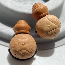 �Ჴ�������P���������������ԭ���SƤ����������Ů����ͨ����