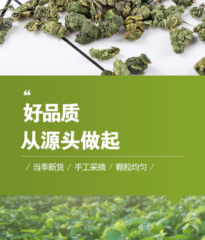 Freeze-Dried Mulberry Leaf Tea Sang Ye 500g Post-Frost Dried Mulberry Leaves for Daily Herbal Infusion quality and texture