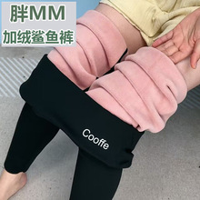 200斤加绒鲨鱼裤女高腰打底裤秋冬季加厚外穿保暖300斤显瘦瑜伽
