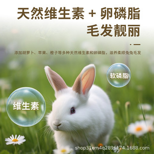 ����Zʳ����üZ���l������Ħ���ݳ������ô�������ޣ���������Z