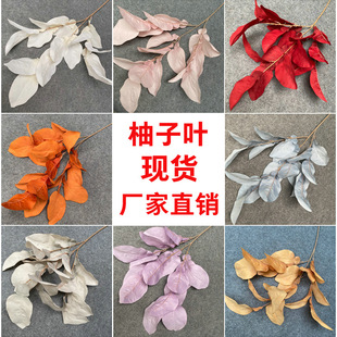 ��������ֲ��������~�b[�����@�辰����ɻ������b��Ĕz����