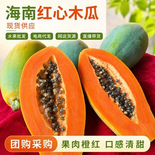 ���ϼt��ľ�ϬF؛����ˮ�����l��̴��l�W��؛Դֱ����؛�Fُ��ُ