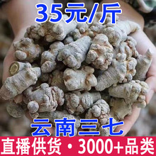 三七 文山三七 云南文山三七 三七批发代发
