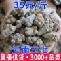 文山云南代发三七