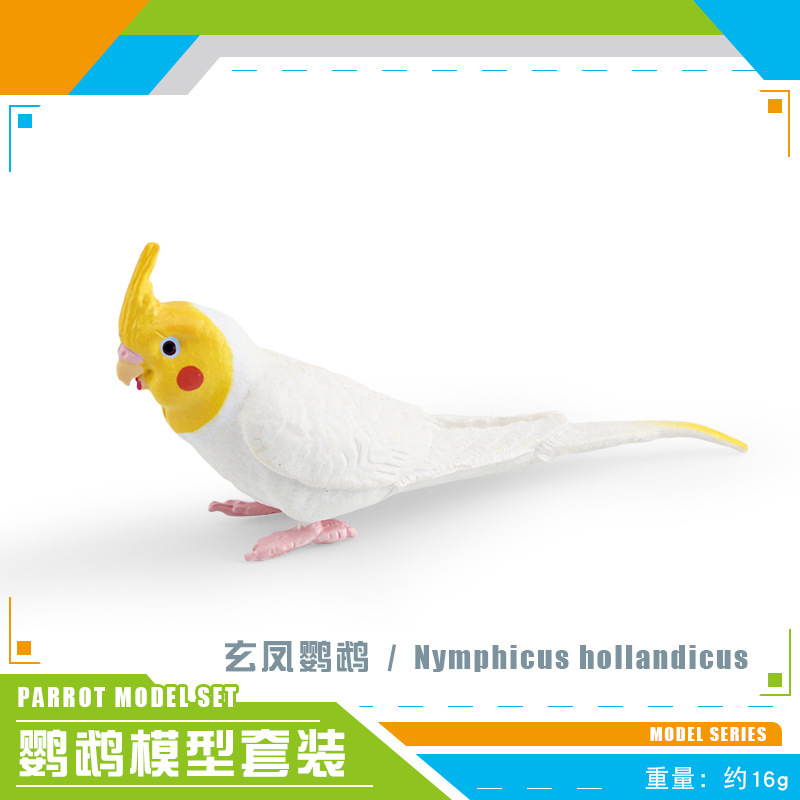 Exportación transfronteriza de simulación de pájaros modelo de papagaios peonía papaio de escritorio decoración estática juguetes