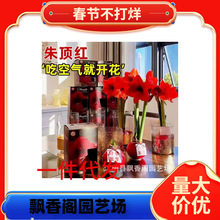 ��피t�M���ذ�N�򰲼����p����N�򻨿�ȸ���Ԏ������ޟo���ش�