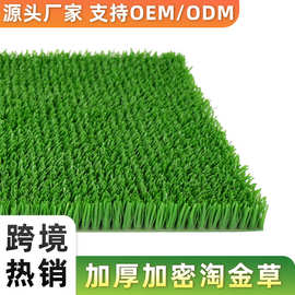 跨境出口淘金草加密吸金增金草坪毯筛沙沾金布源头工厂批发粘金草