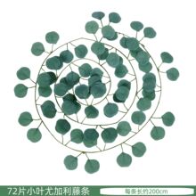 �����ȼ����ٗl72�~��Y�b��������Gɫֲ��������~�ȼ����~