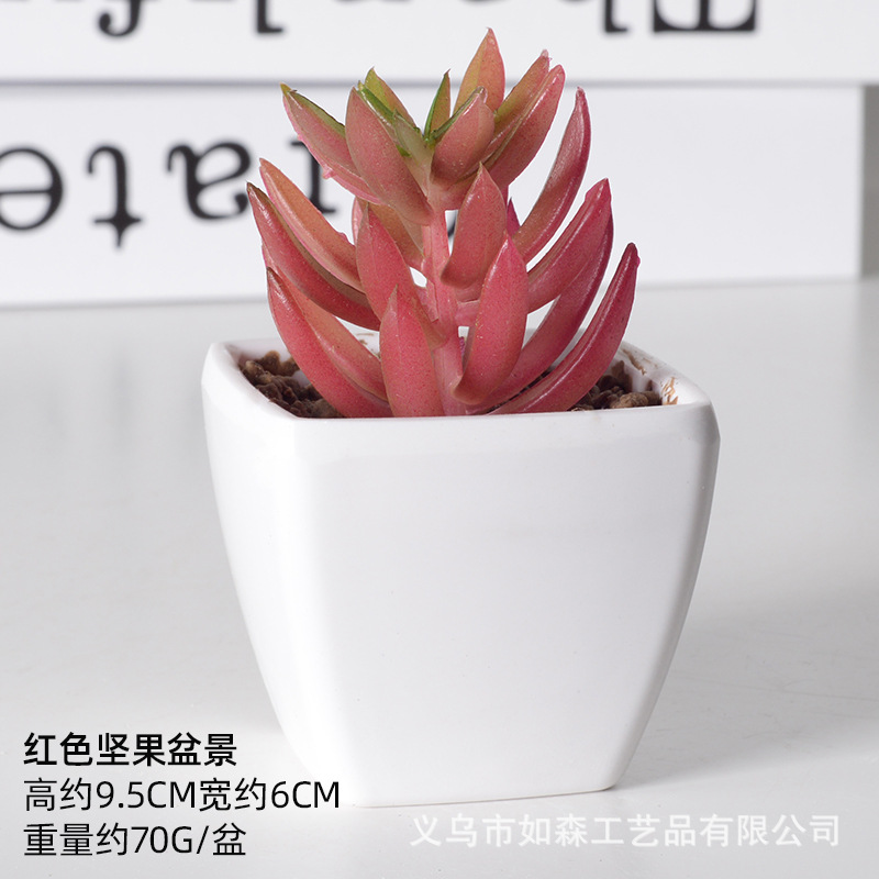 Simulación de plástico carnoso bonsai flor falsa combinación oficina interior escritorio plantas verdes pequeños adornos plantas artificiales al por mayor image 18