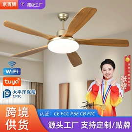 风扇灯;吸顶灯;成套灯具