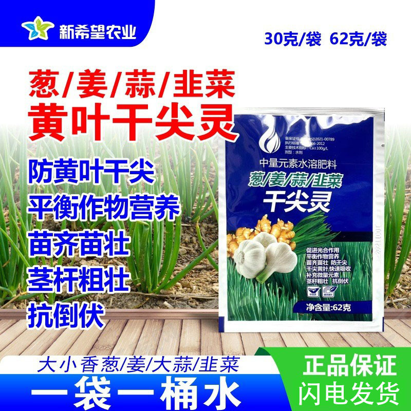 葱/姜/蒜/韭菜 黄叶干尖灵平衡作物营养 苗齐苗壮