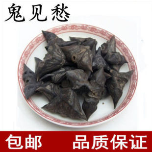 ��ș�� ��Ҋ�� ��ǚ� ��� ����� ���⚤ �L��� ��Ʒ