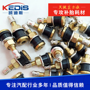 ���̥���� �~ TR500���T��