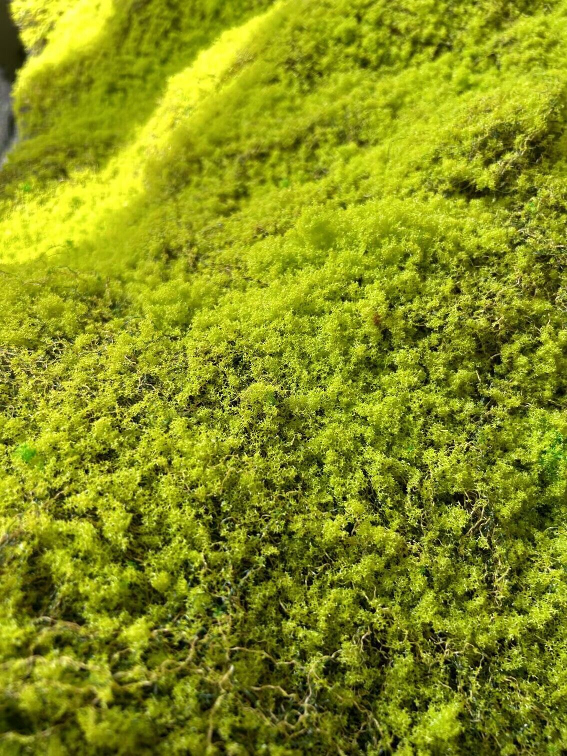 QQ图片20240123183912