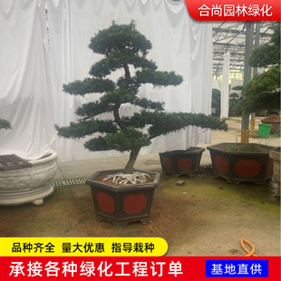 �����_�h���辰�䘶ȸ���_�h�������S��ӭ���ɺ����辰�Ϙ�