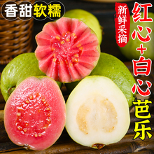 �V���Ř���ʯ��ˮ�����r���䮔���t�İŘ���ܛŴ������͘�5��9��