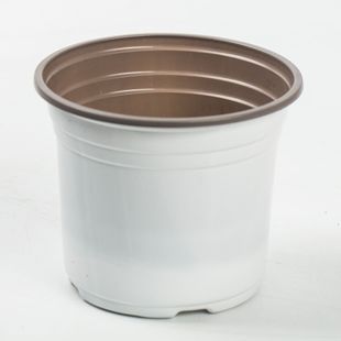 Wholesale pp plastic flower pot colorful two-color flower pot thickened porcelain-like balcony green plant vegetable cultivation seedling flower pot