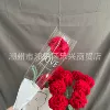 Carnate red