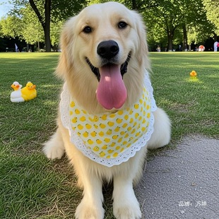 ���ﹷ��ˮ����С�д���Ȯ�����_ĦҮ�ɐ۽�ë��ʿ�氢��˹�Ӈ���