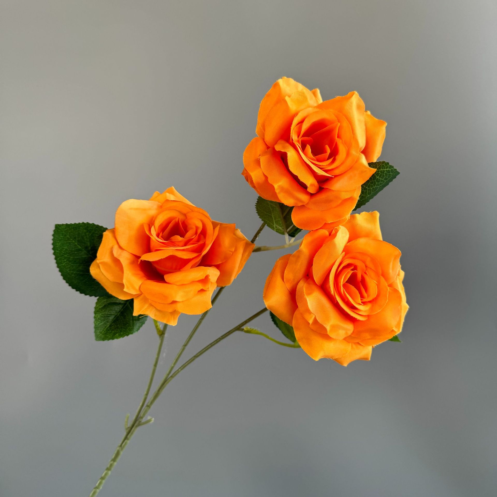 주황색(잎 없음)