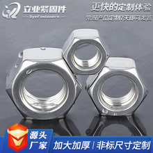 304�����������ĸGB6172/DIN439ϸ������������ĸ������ĸ����