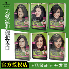 施华寇染发膏怡然染发剂遮白发无氨植物天然成分染发霜商超批发