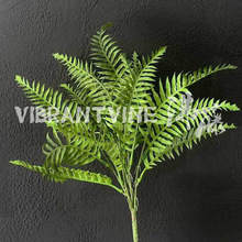 ����ާ�ֲ��廨�쾰С�Gֲ��˹��ɭϵ��Y�͏d�����Gɫާ�~���Q