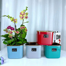 ������ �����m���N�M�ϻ���ظ��� �FƤʯ���A������͸�ⶨֲ�@��