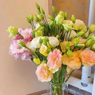 ����r��ֱ�l�B����۹��҃�ֱ�������͏d�r���k���Ҳ廨�[��