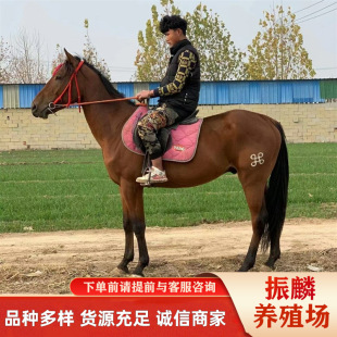 ��Ѫ�R�����؅^�г��۵� ���w�T���R�Ј��߄� �B�R����