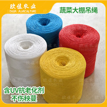 �r�÷��ϻ������K�����K�����������K���S�����t����6650��/����