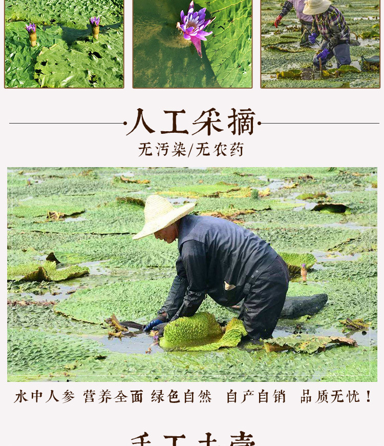 Dried Gorgon Fruit Seeds Qian Shi 500g Hand Peeled Suzhou Euryale Seeds for Soup and Congee key features