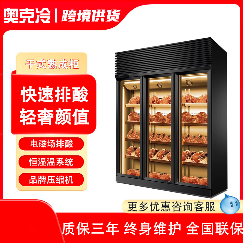 牛肉干湿式熟成柜红酒柜恒温商用冷藏西餐厅和牛冷冻展示柜排酸柜