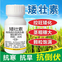 植物矮壮素控徒长玉米花生棉花提高产量控徒长控旺矮化生长调节剂