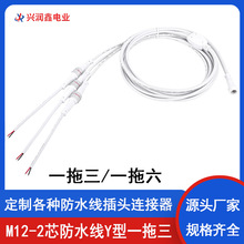 M12-2芯防水线Y型一拖三六连接线冷柜电源接头公母插头防水连接器